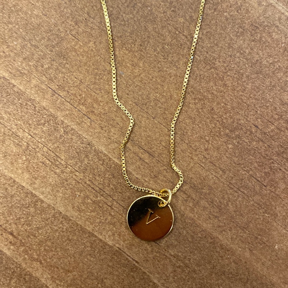 Oak and Luna “V” necklace